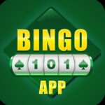 BINGO 101 APK